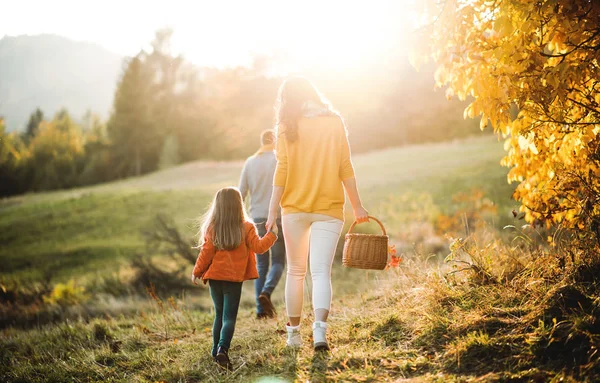 Una vista trasera de la familia con un niño pequeño en un paseo en la naturaleza de otoño . — Foto de Stock