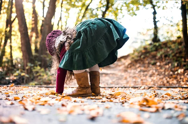 Uma pequena menina brincando na floresta no outono natureza, jogando . — Fotografia de Stock