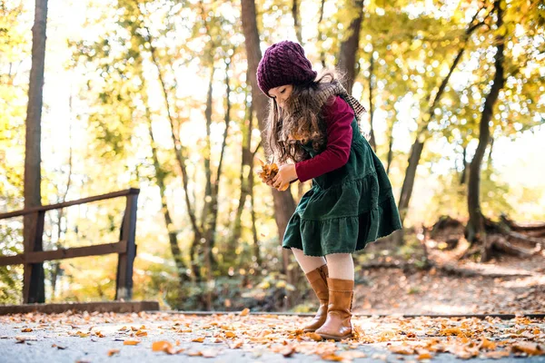 Um retrato de uma pequena menina brincando na floresta no outono natureza. Espaço de cópia . — Fotografia de Stock