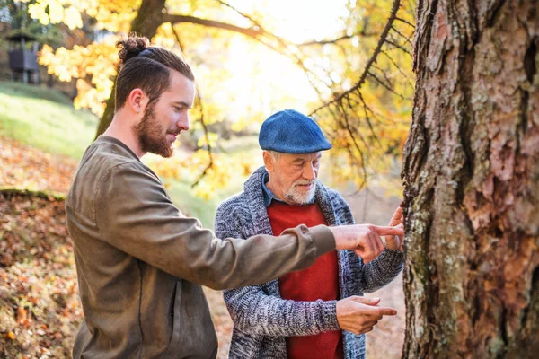 Starszy ojciec i jego syn chodzą w przyrodzie, rozmawiając. — Zdjęcie stockowe
