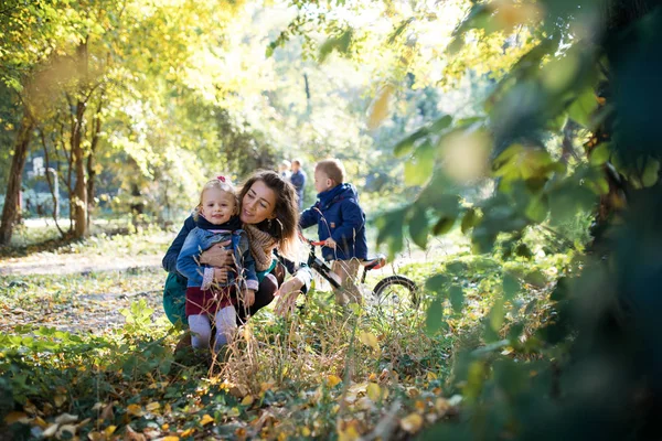 Sonbahar ormanda bir yürüyüş küçük ikizler ile güzel genç anne. — Stok fotoğraf