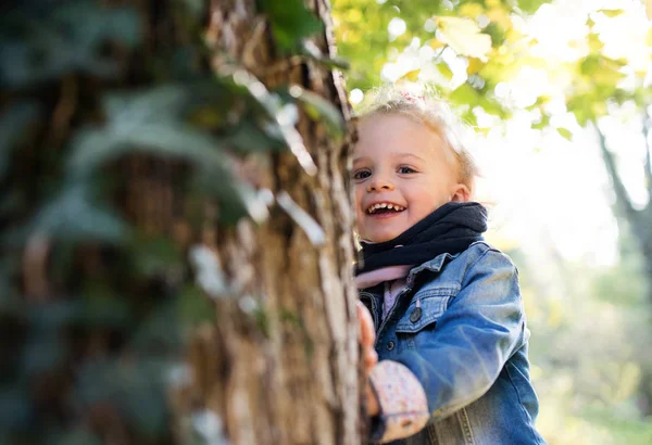 가을 숲에 서있는 작은 유아 소녀의 초상화. 복사 공간. — 스톡 사진