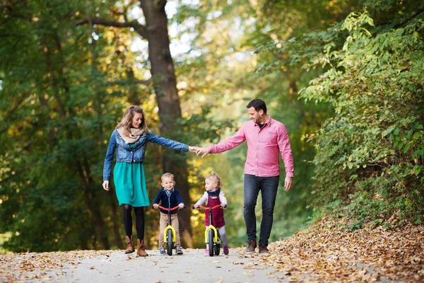 Schöne junge Familie mit kleinen Zwillingen auf einem Spaziergang im Herbstwald. — Stockfoto