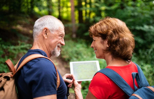 Senior Touristenpaar auf einem Spaziergang im Wald in der Natur, mit der Karte auf dem Tablet. — Stockfoto