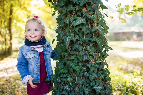Retrato de vista frontal de uma pequena menina em pé na floresta de outono . — Fotografia de Stock
