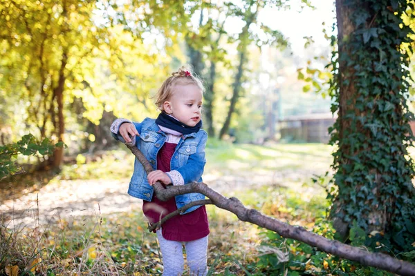 Front view portrait of a small toddler girl standing in autumn forest. — Stock Photo, Image