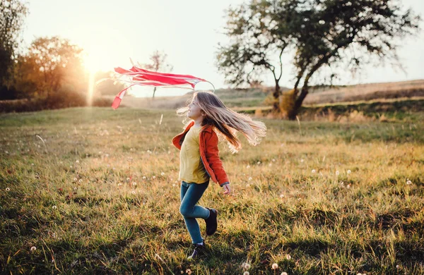 En liten flicka som leker med en regnbåge hand kite i höstens natur vid solnedgången. — Stockfoto