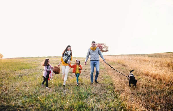 İki küçük çocuk ve bir köpek sonbahar doğada yürüyüşe ile genç bir aile. — Stok fotoğraf