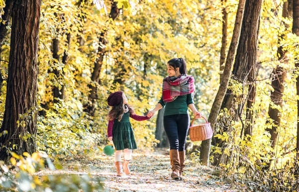 Uma jovem mãe com uma filha criança andando na floresta no outono natureza . — Fotografia de Stock