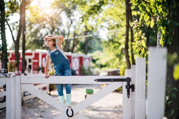 Portret małej dziewczynki na rodzinnej farmie, stojącej przy bramie drewnianej. — Zdjęcie stockowe