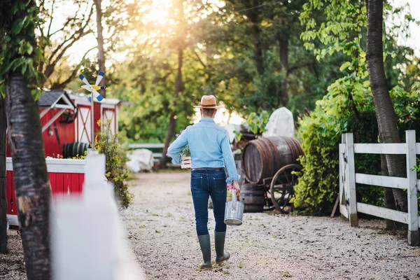 Vista trasera del agricultor caminando al aire libre en una pequeña granja familiar . — Foto de Stock