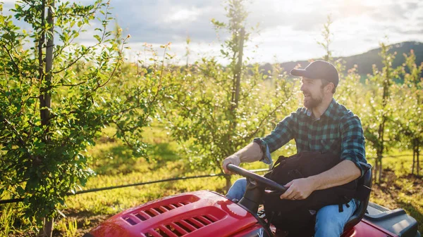 Egy érett gazda vezetői mini traktor a szabadban gyümölcsösben. — Stock Fotó