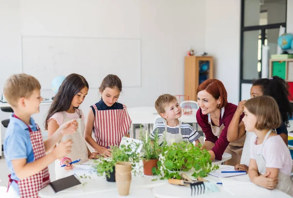 A group of small school kids with teacher standing in circle in class, planting herbs. — Stock Photo, Image