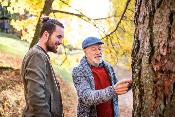 Старший отец и его сын смотрят на дерево в природе, разговаривают . — стоковое фото