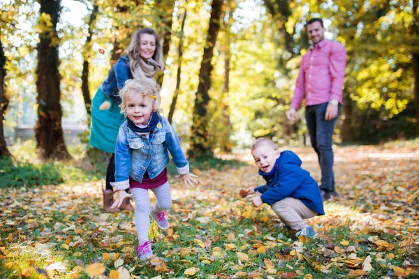 Krásná mladá rodina s malými dvojčaty na procházce v podzimním lese, hrající. — Stock fotografie
