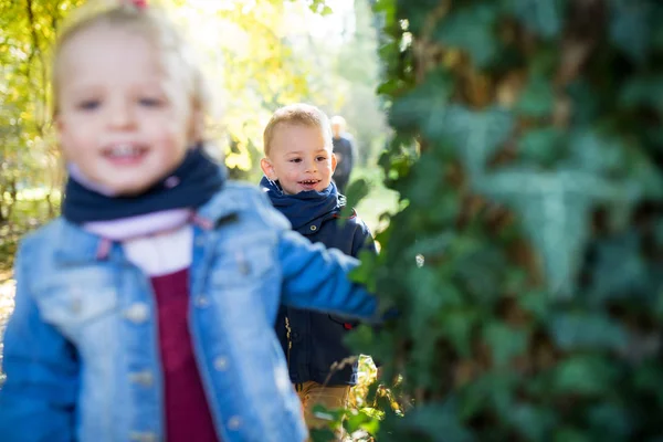 Bliźniak maluch rodzeństwo chłopiec i dziewczyna z rodzicami na spacer w jesiennym lesie. — Zdjęcie stockowe