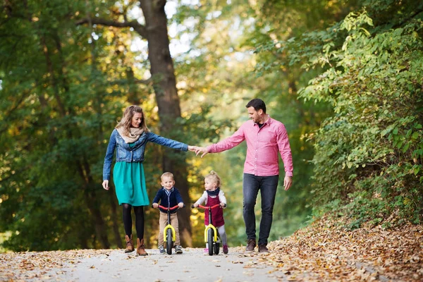 Vacker ung familj med små tvillingar på en promenad i höst skogen. — Stockfoto