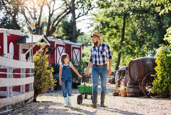 Seorang ayah dengan putri kecil berjalan di luar rumah di pertanian keluarga . — Stok Foto