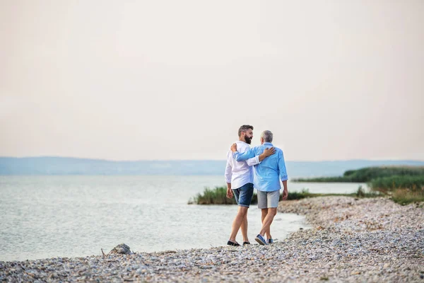 Rear view of senior father and mature son walking by the lake. Copy space. — Stock Photo, Image