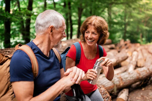 Senior Touristenpaar mit Flasche auf einem Spaziergang im Wald in der Natur, sitzend. — Stockfoto