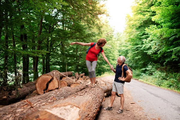 Senior turystyczny para z plecaki chodzenie w lesie w natura. — Zdjęcie stockowe