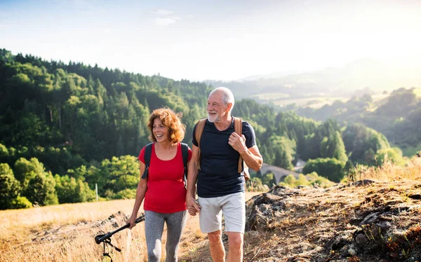 Voyageurs séniors en couple randonnée dans la nature, marche et conversation . — Photo