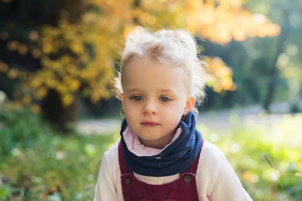 Retrato de vista frontal de una niña pequeña parada en el bosque de otoño . — Foto de Stock