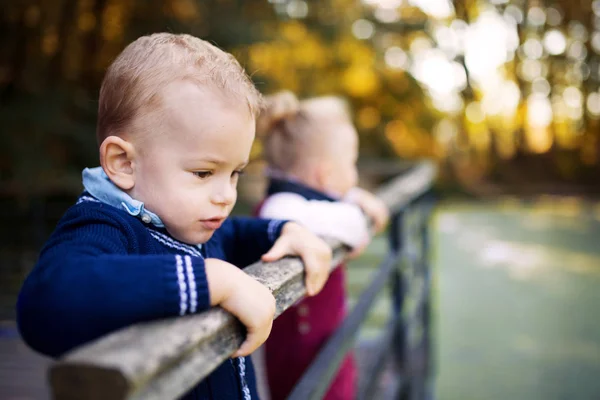 Twin toddler sibling boy and girl standing in autumn park, holding railing. — Stock Photo, Image