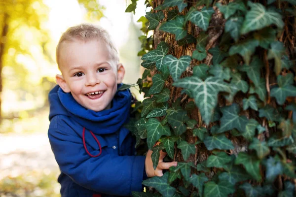 Портрет маленького мальчика, стоящего в осеннем лесу. Копирование пространства . — стоковое фото