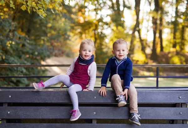 Twin criança irmão menino e menina sentado no banco no parque de outono . — Fotografia de Stock
