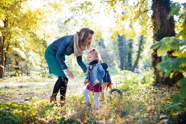 Schöne junge Mutter mit kleinen Zwillingen auf einem Spaziergang im Herbstwald. — Stockfoto