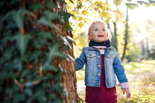 Front view portrait of a small toddler girl standing in autumn forest. — Stock Photo, Image