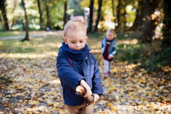 Twin toddler sibling boy and girl walking in autumn forest. — Stock Photo, Image