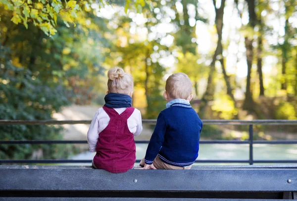 Widok z tyłu Twin Toddler rodzeństwo chłopiec i dziewczyna siedzi w jesiennym lesie. — Zdjęcie stockowe
