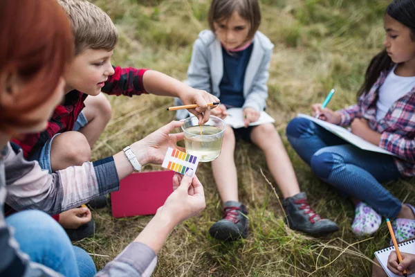 Kelompok anak-anak sekolah dengan guru di lapangan perjalanan di alam, belajar ilmu pengetahuan . — Stok Foto