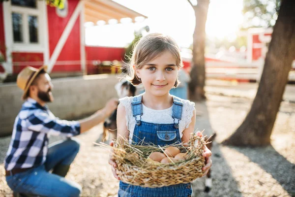 Seorang gadis kecil dengan ayah di luar rumah di pertanian keluarga, memegang telur . — Stok Foto