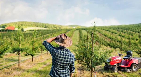 Achteraanzicht van boer buiten lopen naar mini trekker in boomgaard. — Stockfoto