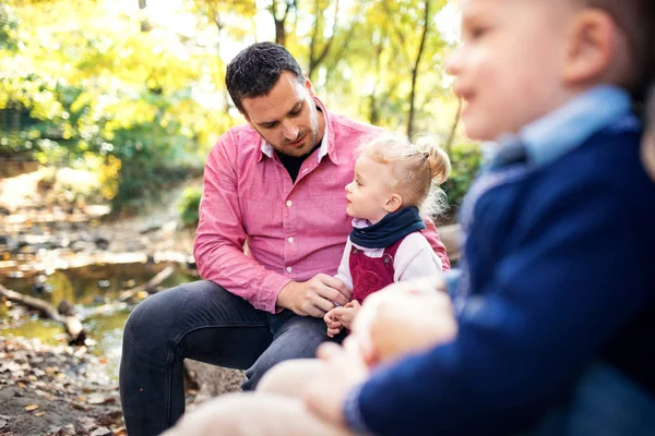 Vacker ung familj med små tvillingar på en promenad i höst skogen. — Stockfoto