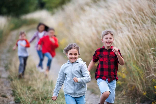 Schülergruppe läuft auf Exkursion in die Natur. — Stockfoto