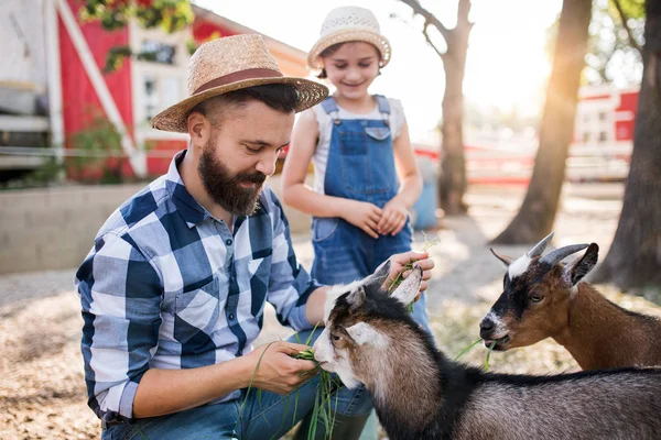 A father with small daughter outdoors on family farm, feeding animals. — Stock Photo, Image
