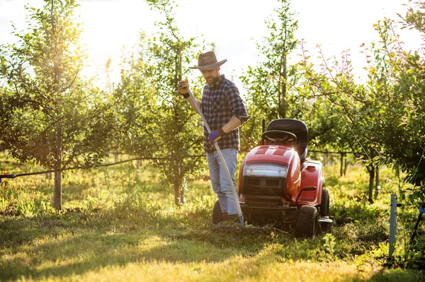Dospělý farmář, který pracuje v sadu při západu slunce. Kopírovat místo. — Stock fotografie