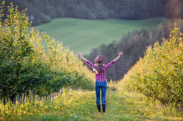 Вид сзади на женщину-фермера, стоящую на открытом воздухе в саду. Копирование пространства . — стоковое фото