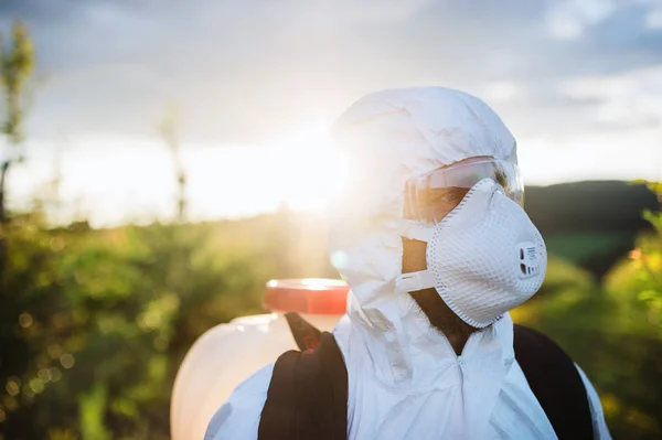 Фермер на открытом воздухе в саду на закате, с использованием химикатов пестицидов . — стоковое фото