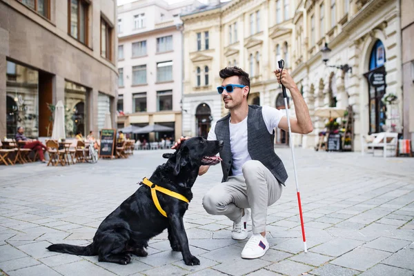 Jovem cego com cana branca e cão guia na zona de pedestrain na cidade . — Fotografia de Stock