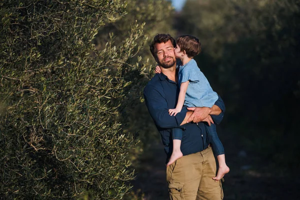 Ojciec z małą córką stojący na zewnątrz przez drzewo oliwne, Całowanie. — Zdjęcie stockowe