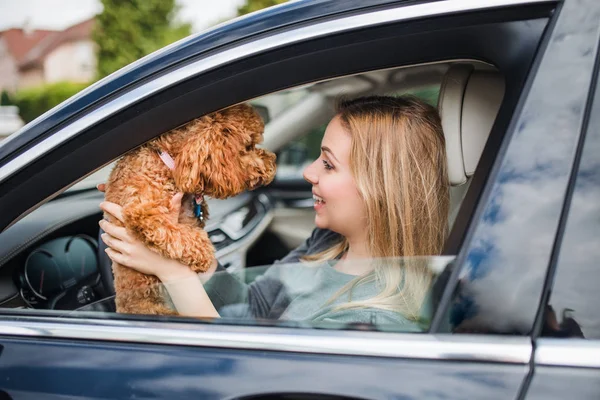 Mladá žena řidič se psem sedícího v autě. — Stock fotografie