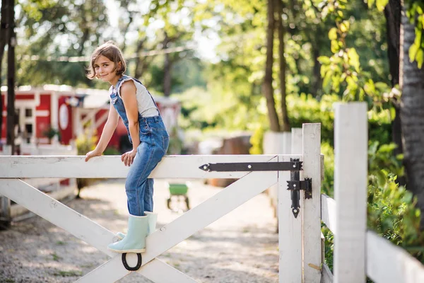 A portrait of small girl on family farm, sitting on wooden gate. — Stock Photo, Image