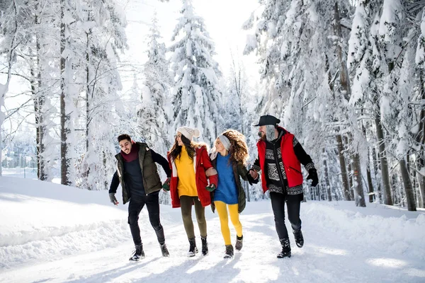 Группа молодых друзей на прогулке по снегу в зимнем лесу . — стоковое фото