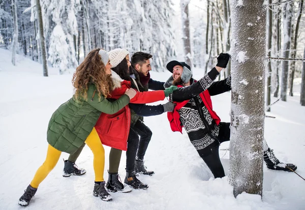 Een groep jonge vrienden op een wandeling buiten in de sneeuw in het winter bos. — Stockfoto
