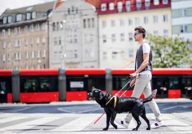 Beyaz baston ve rehber köpek şehirde cadde boyunca yürüyen genç kör adam.
